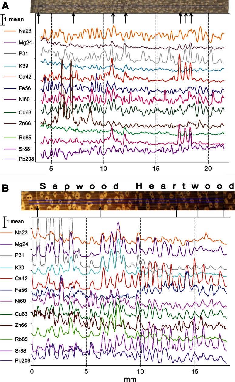 Fig. 4