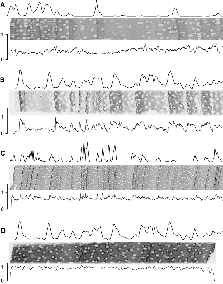 Fig. 1