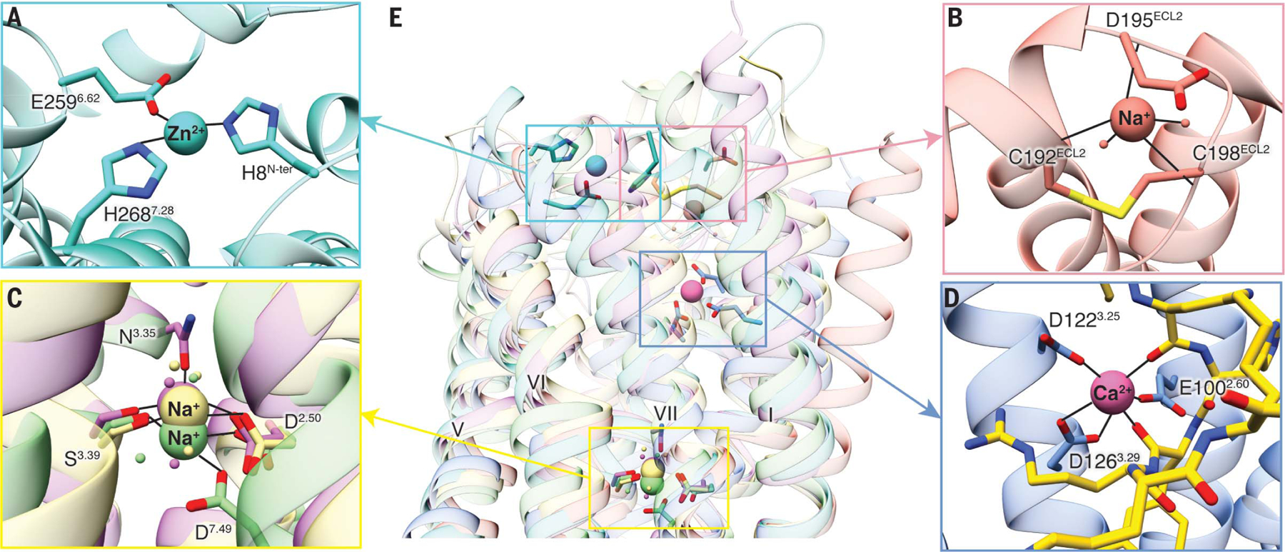 Fig. 5.