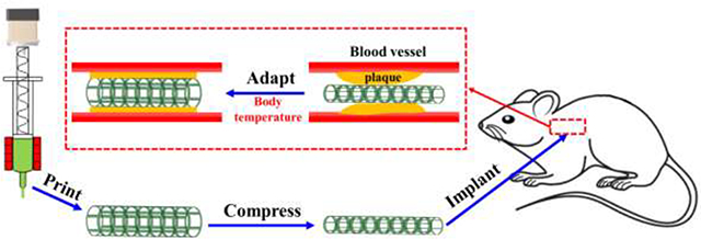 graphic file with name nihms-1659062-f0001.jpg