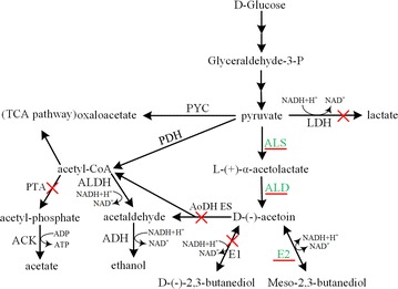 Fig. 1