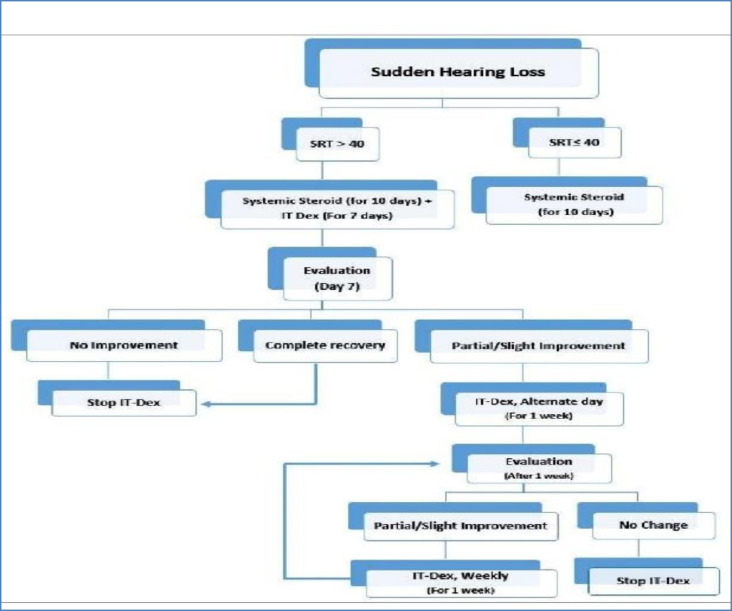 Intratympanic Steroid for the Management of Sudden Hearing Loss ...