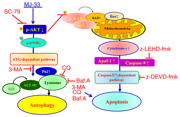 Figure 10.