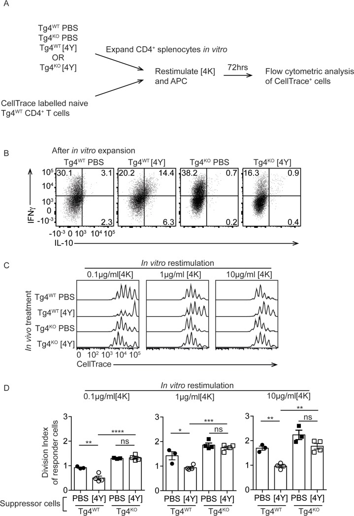 Fig 4