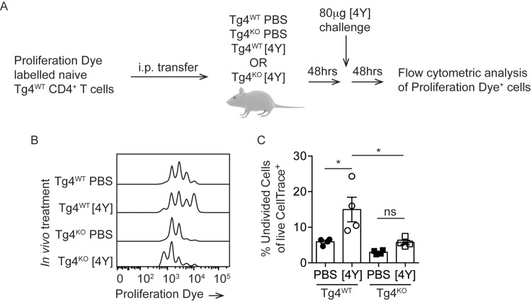 Fig 5