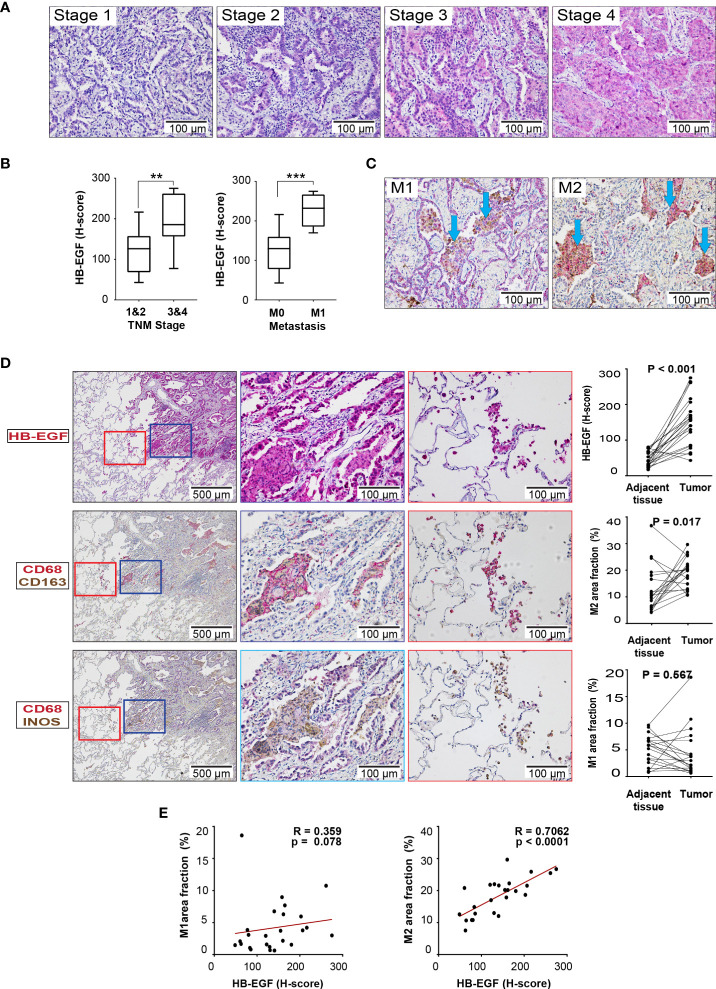 Figure 6