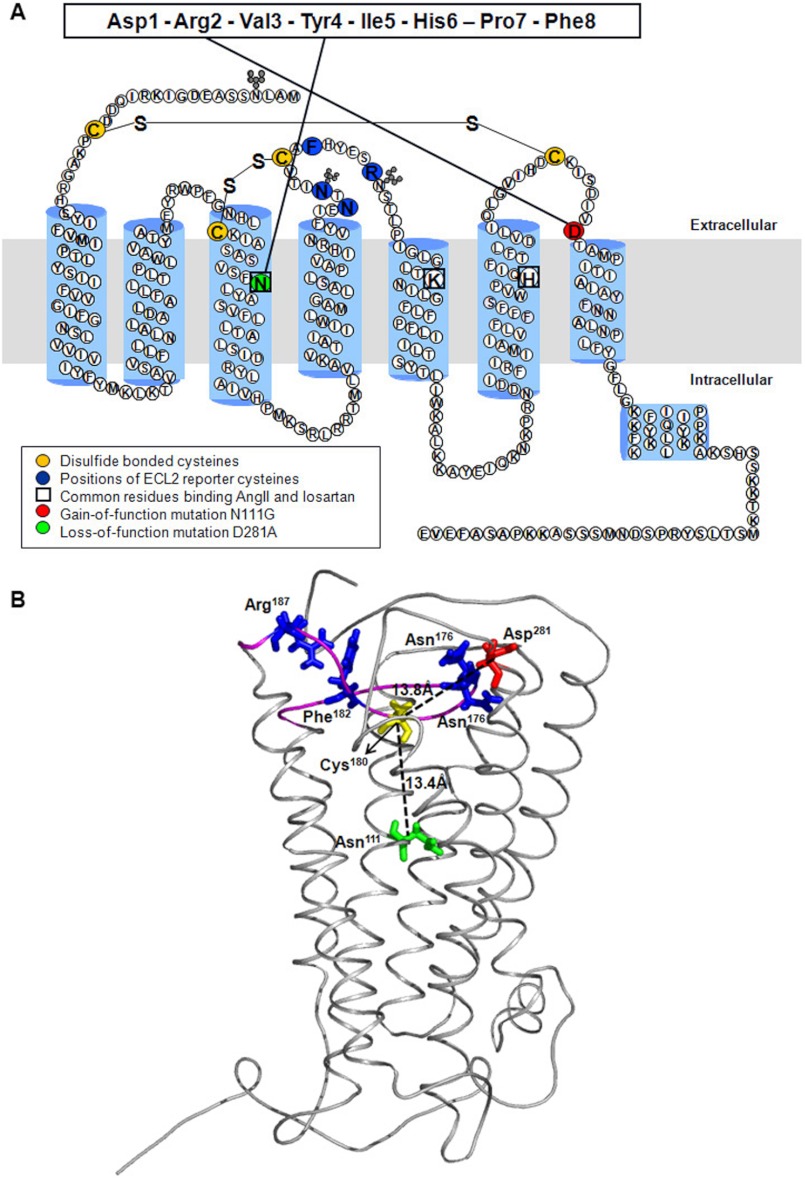 FIGURE 1.