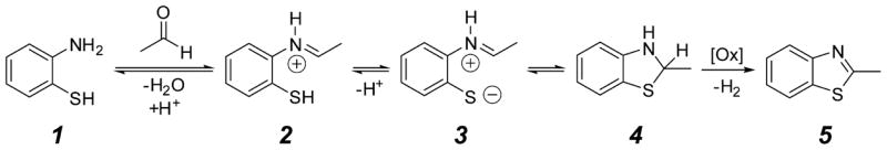 Scheme 2