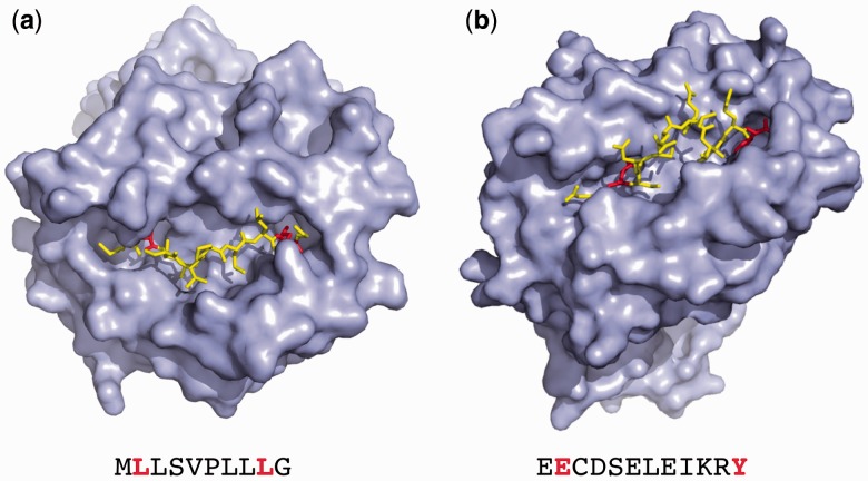 Fig. 5.