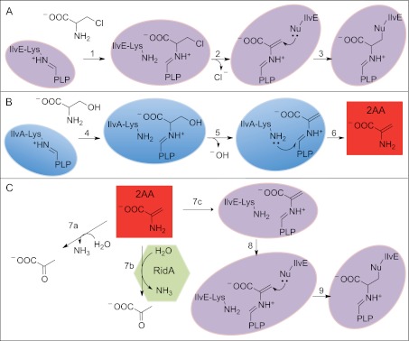 FIG 4 