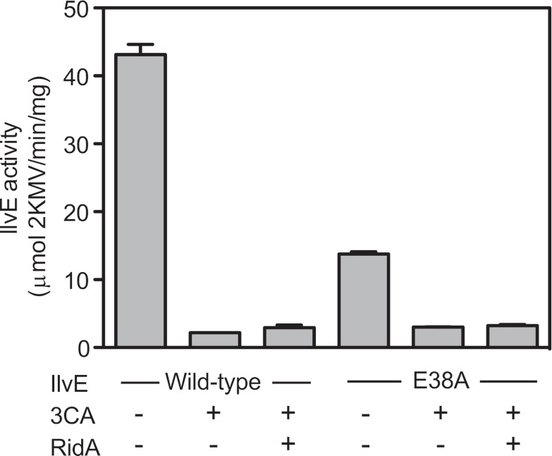 FIG 2 