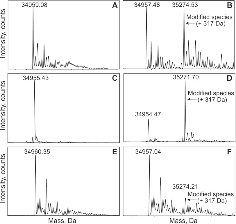 FIG 3 