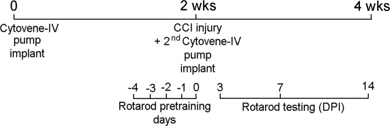 FIG. 1.