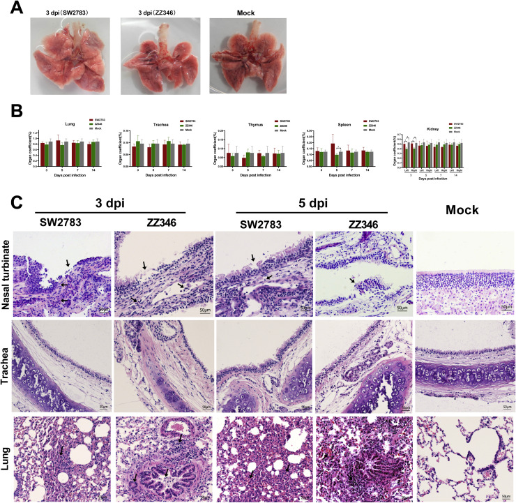 Fig 4