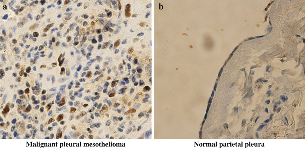 FIG. 6