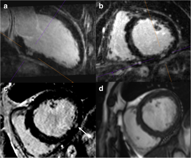 Fig. 5