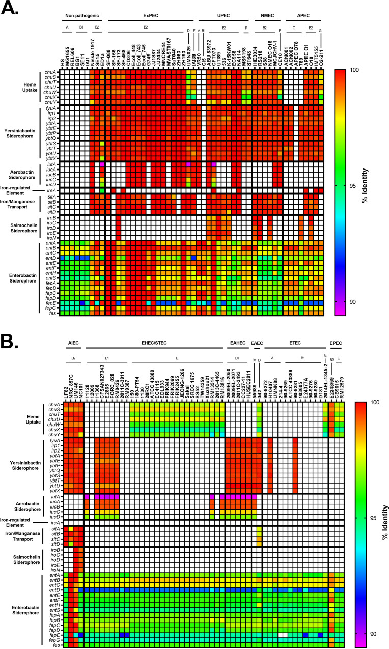 FIG 6