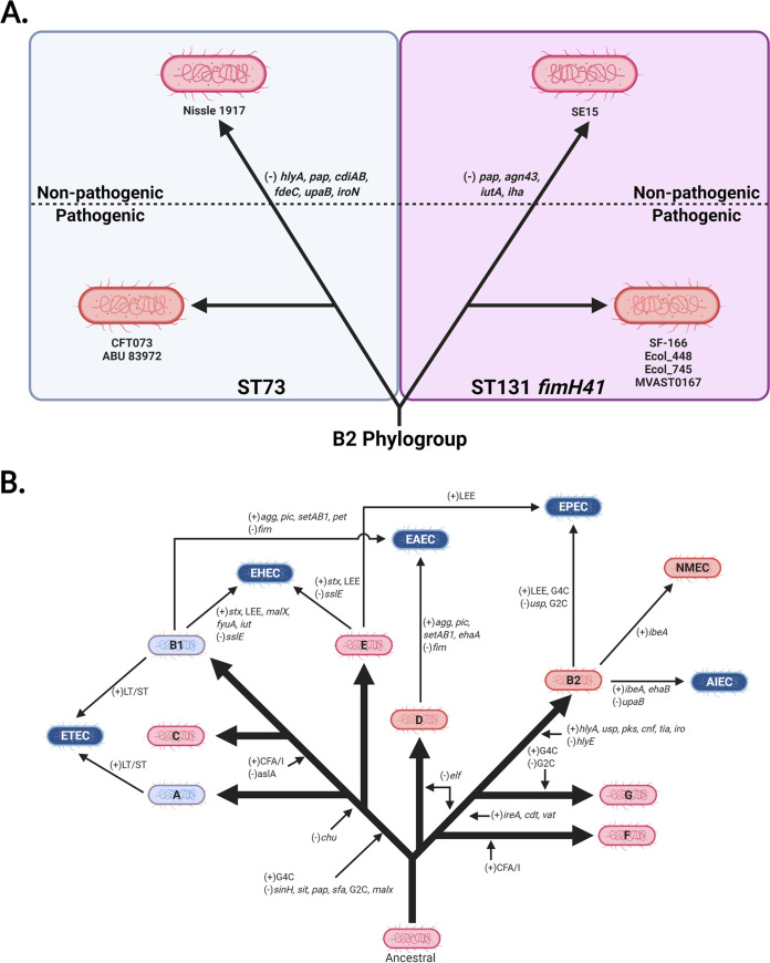 FIG 15