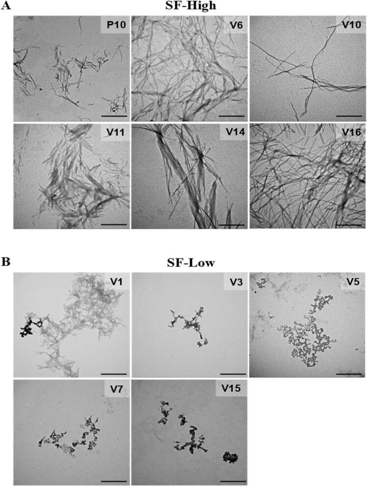 Fig. 7