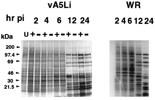 FIG. 7