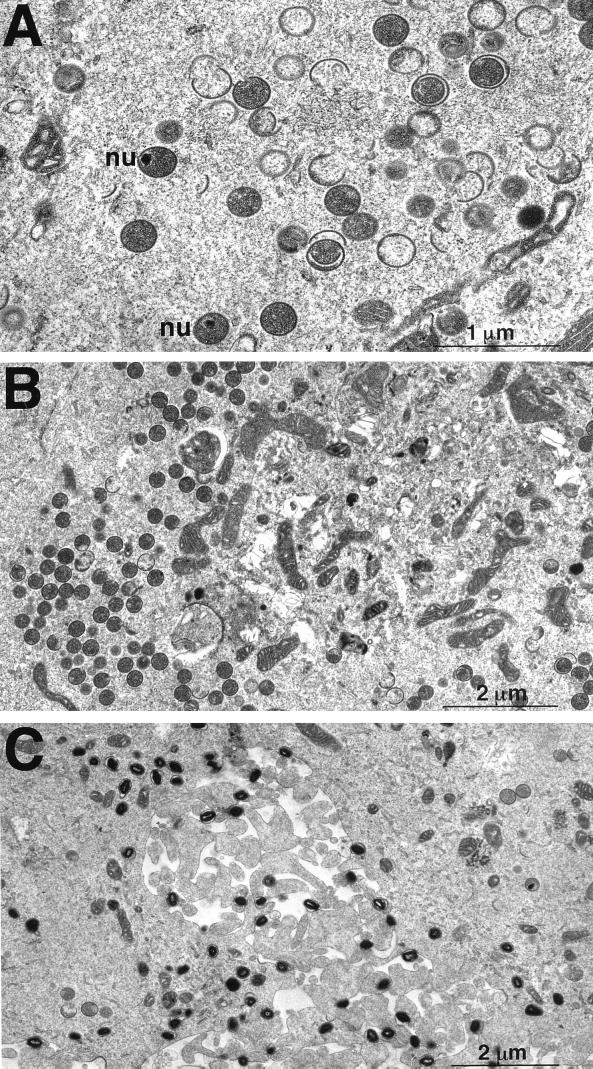 FIG. 9