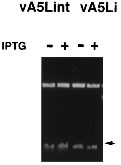 FIG. 8