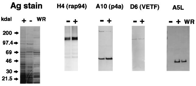 FIG. 10