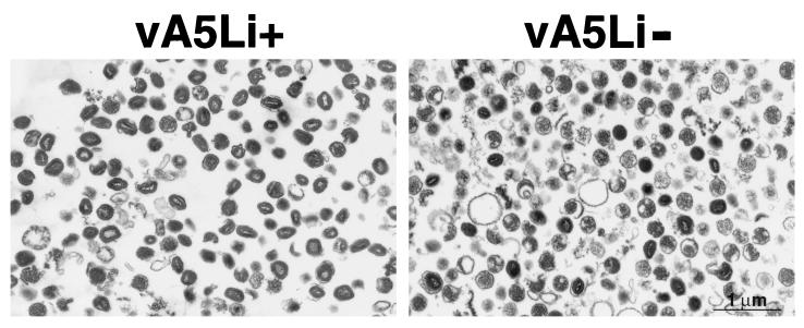 FIG. 11