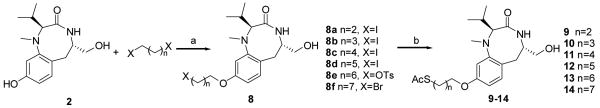 Scheme 2