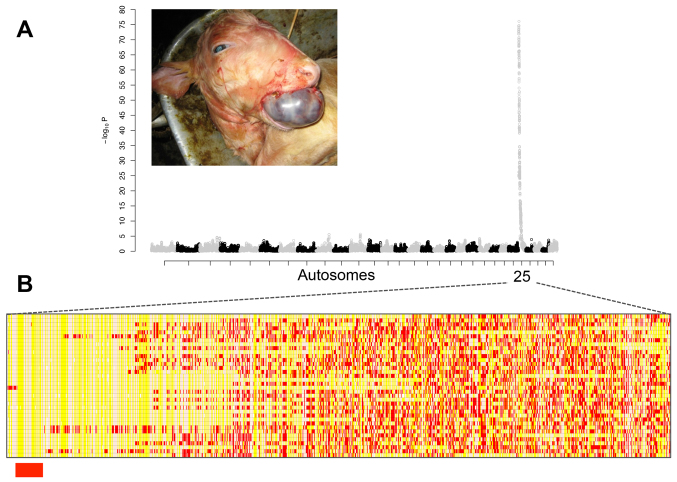 Fig. 2.