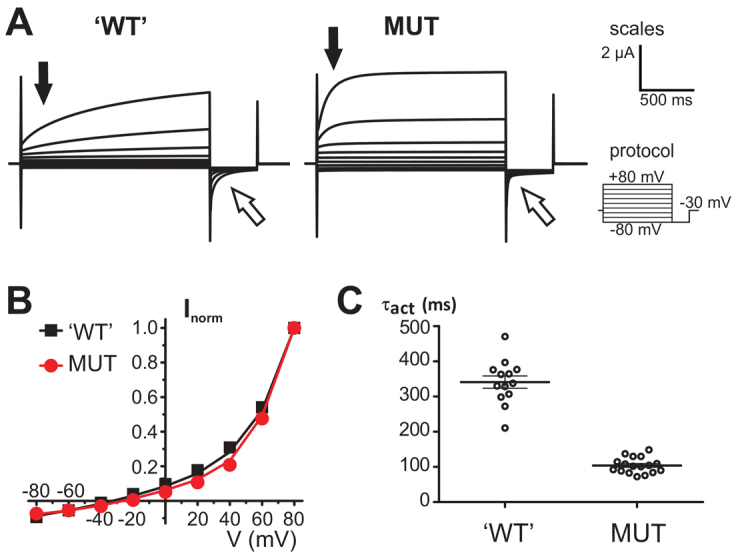 Fig. 8.