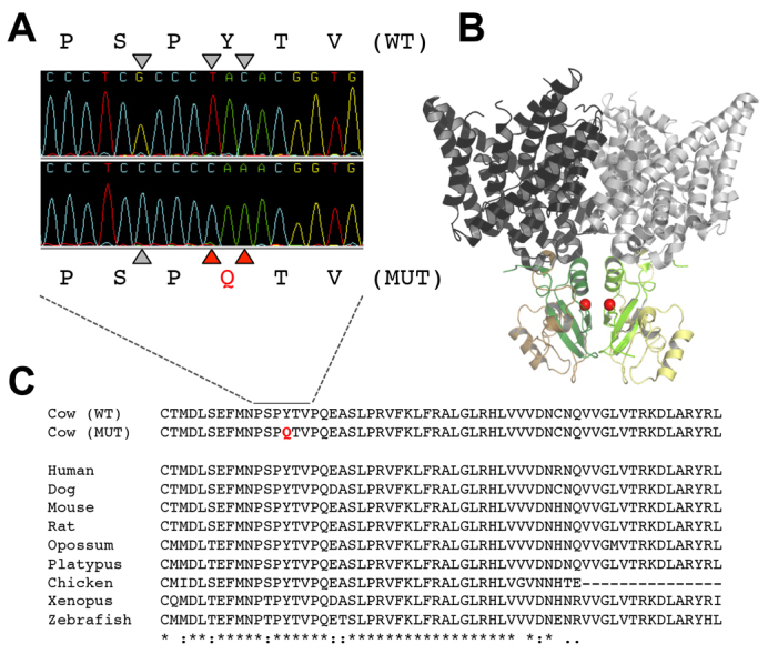 Fig. 3.