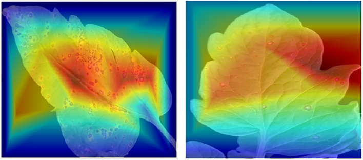 Figure 2