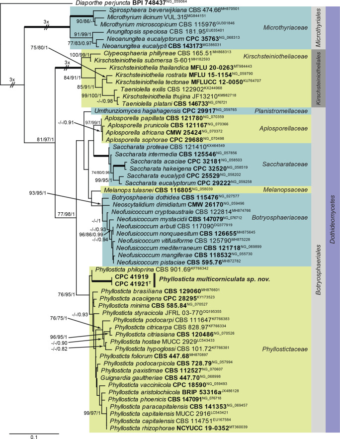 Fig. 33.