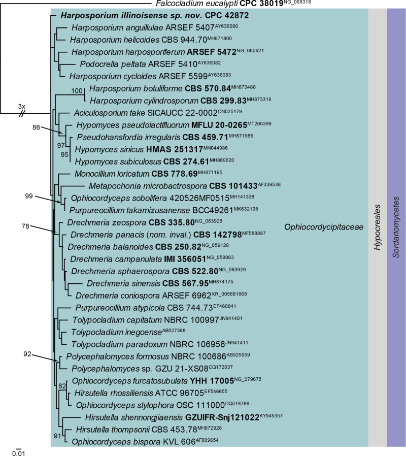 Fig. 23.