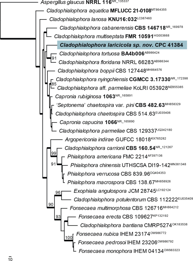 Fig. 11.