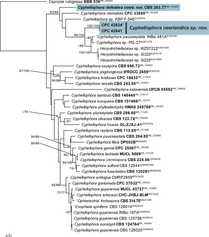 Fig. 14.