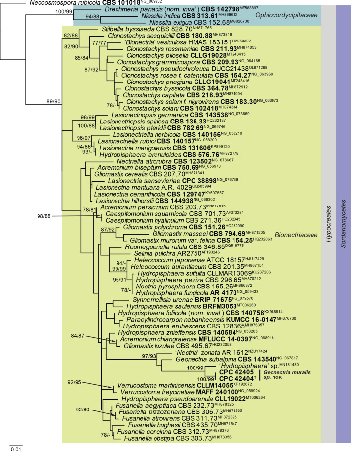 Fig. 21.