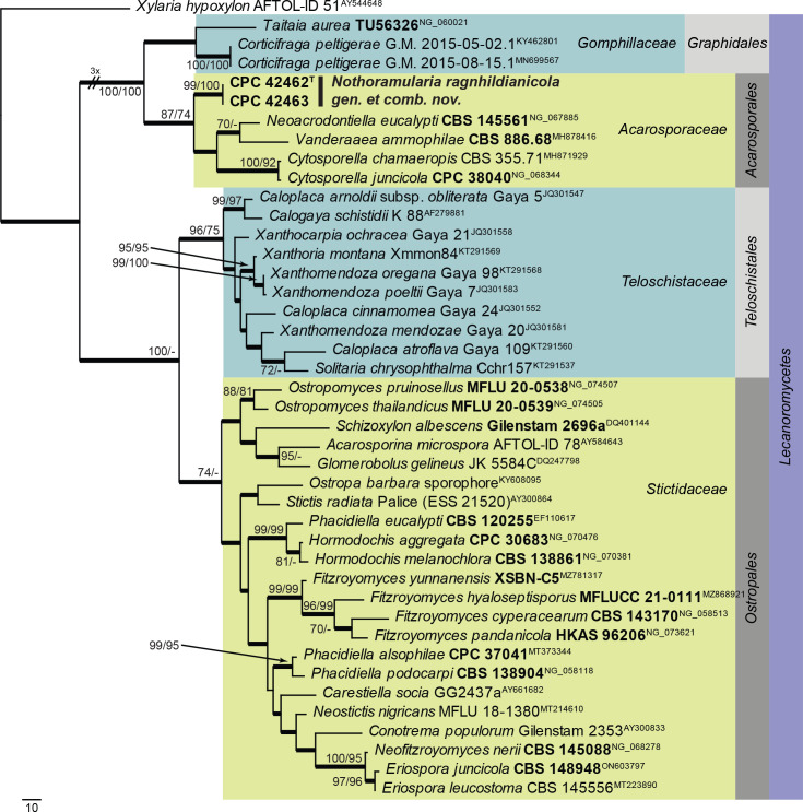 Fig. 29.