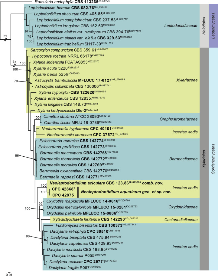 Fig. 27.