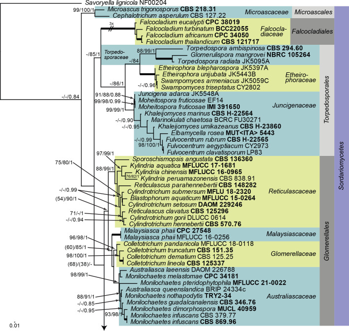 Fig. 41.