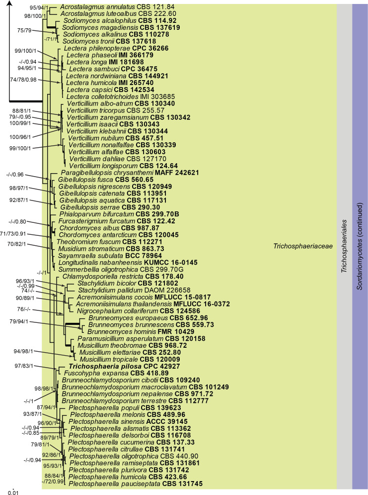 Fig. 41.