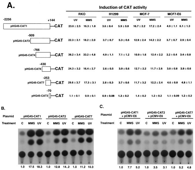 FIG. 1