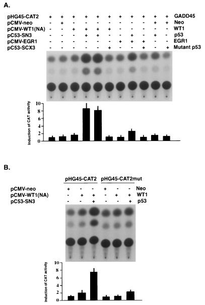 FIG. 6