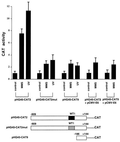 FIG. 7