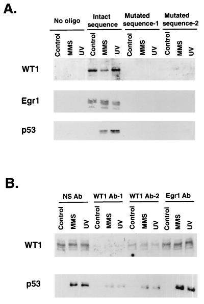 FIG. 5