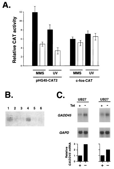 FIG. 8