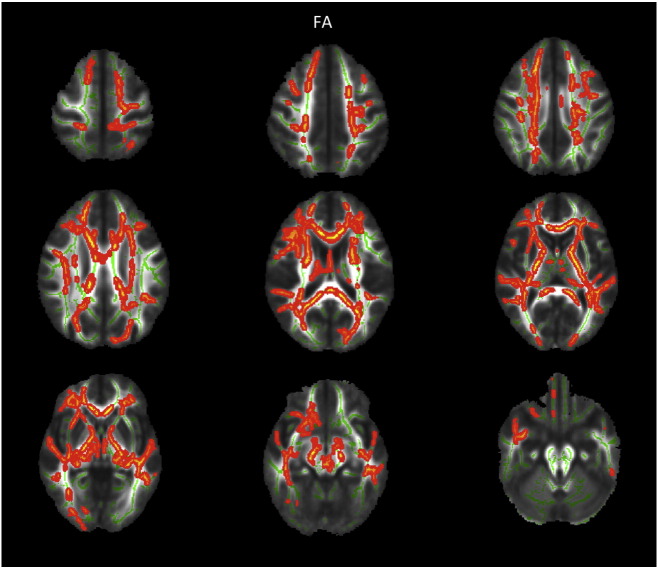 Supplementary Fig. 1