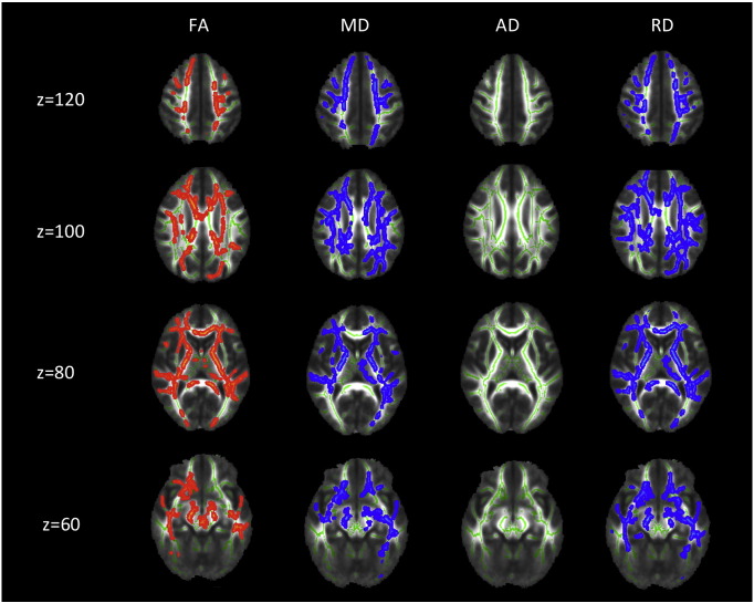 Supplementary Fig. 2