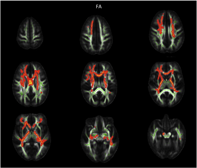 Supplementary Fig. 3